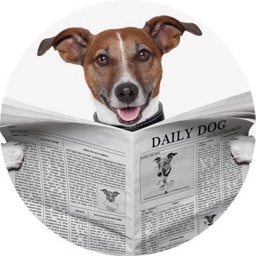 Veröffentlichungen Ilka Jeschke Veröffentlichungen Ilka Jeschke